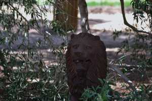 carrick hill 2014 (33)